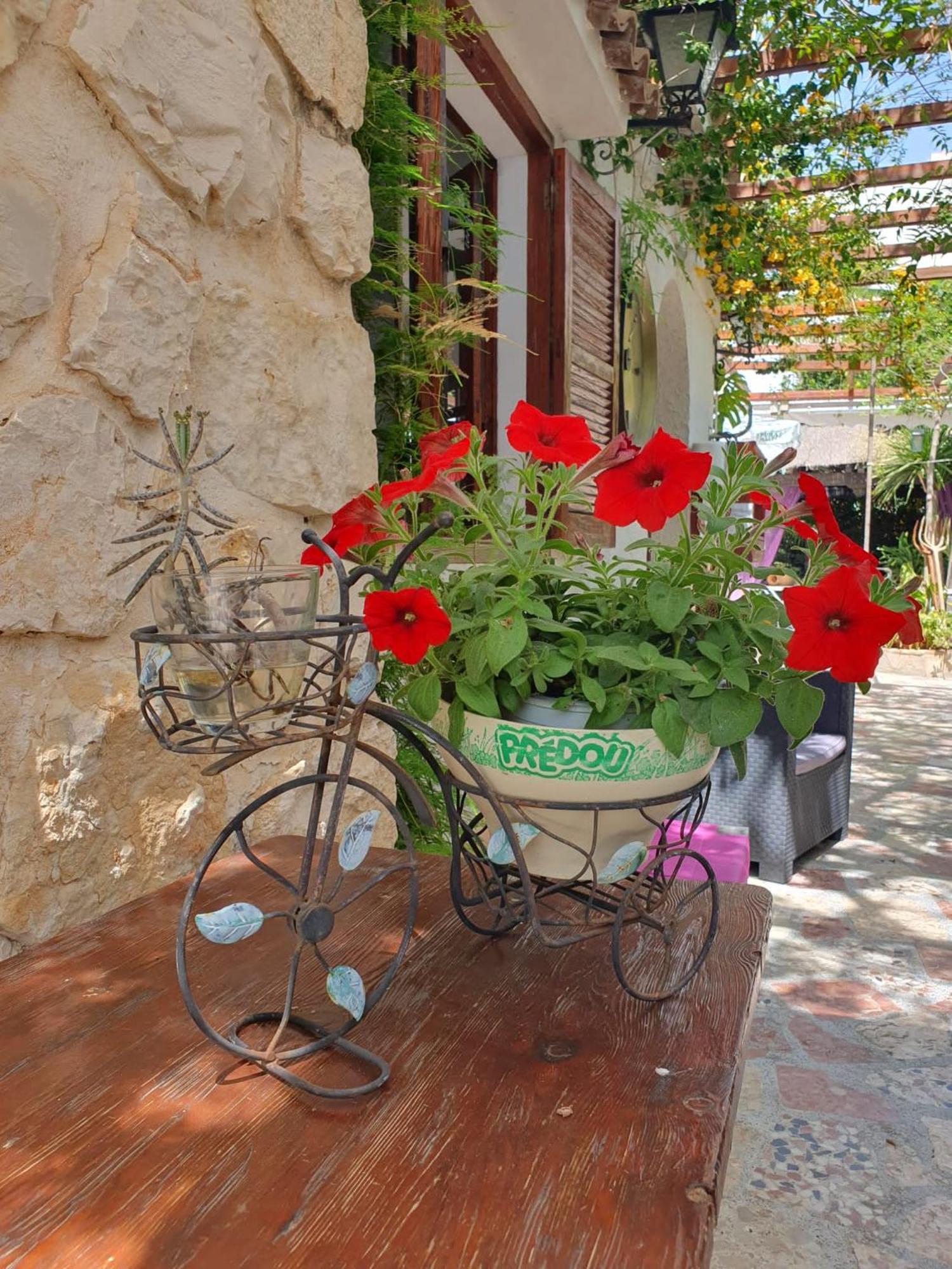 Hostal Mi Campana Дения Екстериор снимка